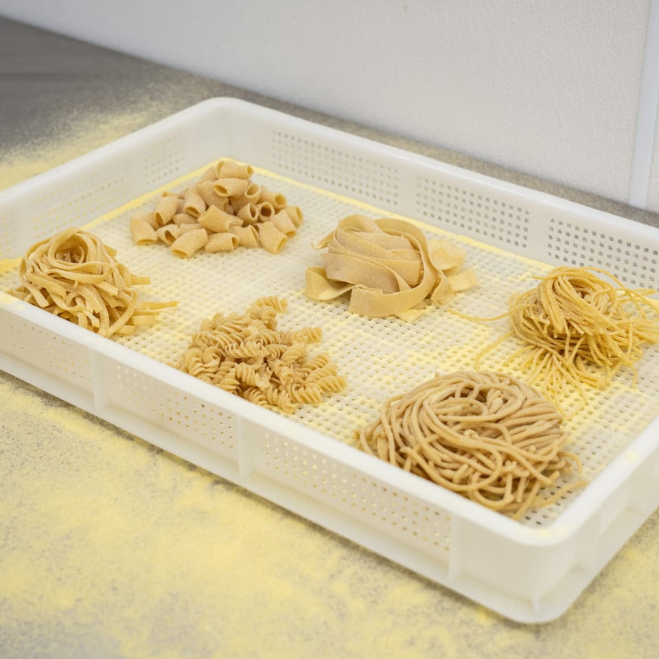 Various types of fresh, uncooked pasta, including rigatoni, fettuccine, fusilli, and spaghetti, on a drying rack.
